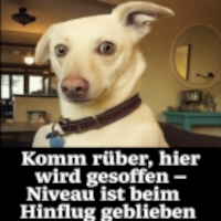 komm rüber